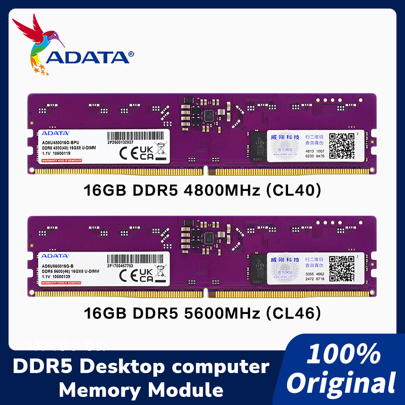 Модуль памяти ADATA DDR5 288-p – обзор и цена Ddr5 4800Mhz